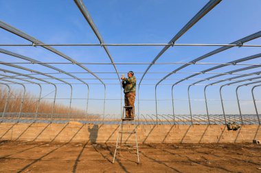 LUANNAN COUNTY, Çin - 2 Aralık 2020: işçiler eliptik galvanize boru iskelet seralar inşa çiftlikler, LUANNAN COUNTY, Hebei Eyaleti, Çin