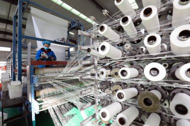 LUANNAN COUNTY, Çin - 8 Aralık 2020: işçiler LUANNAN COUNTY, Hebei Eyaleti, Çin 'deki bir ambalaj ürün hattıyla meşguller.