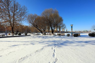 Kuzey Çin 'deki bir parkta kış sonrası doğal manzara.