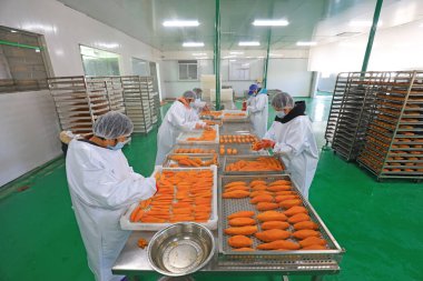 LUANNAN COUNTY, Çin, 20 Aralık 2020: Çiftçi şeftali bahçesi LUANNAN COUNTY, Hebei Eyaleti, Çin