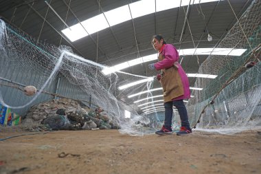 LUANNAN COUNTY, Çin - 10 Mart 2020: Deniz balıkçılığı, LUANNAN COUNTY, Hebei Eyaleti, Çin