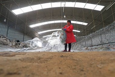 LUANNAN COUNTY, Çin - 10 Mart 2020: Deniz balıkçılığı, LUANNAN COUNTY, Hebei Eyaleti, Çin