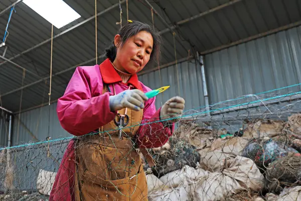 LUANNAN COUNTY, Çin - 10 Mart 2020: Deniz balıkçılığı, LUANNAN COUNTY, Hebei Eyaleti, Çin