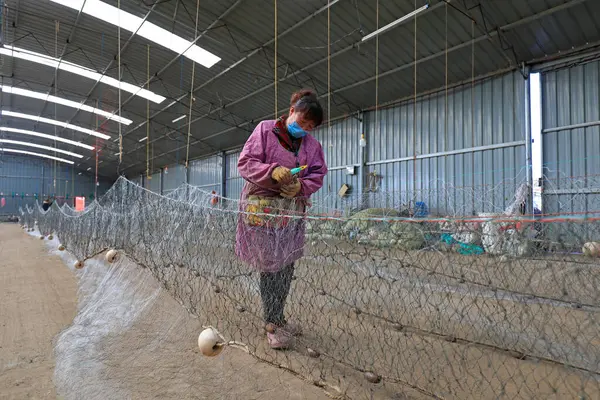 LUANNAN COUNTY, Çin - 10 Mart 2020: Deniz balıkçılığı, LUANNAN COUNTY, Hebei Eyaleti, Çin