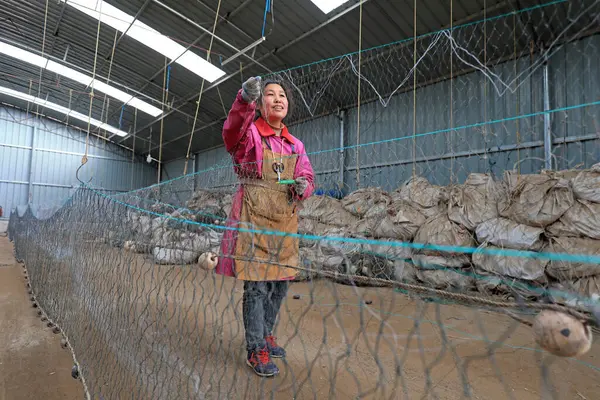 LUANNAN COUNTY, Çin - 10 Mart 2020: Deniz balıkçılığı, LUANNAN COUNTY, Hebei Eyaleti, Çin