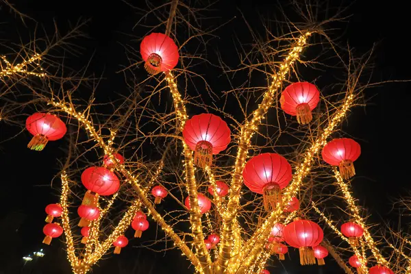 Parktaki ağaç gövdesinde kırmızı fener parlıyor.