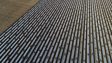 Patates tarlada plastik film ile kaplı, Kuzey Çin Ovası