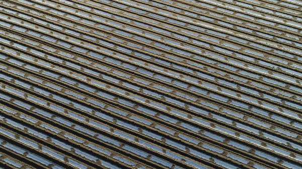 Patates tarlada plastik film ile kaplı, Kuzey Çin Ovası