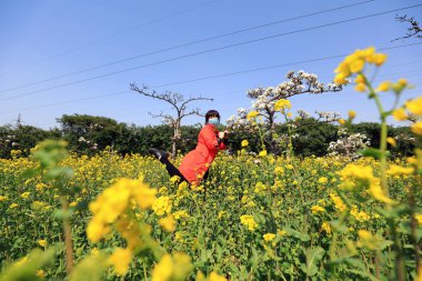 LUANNAN COUNTY, Hebei Eyaleti, Çin - 12 Nisan 2020: Güzel elbiseli bayan parktaki çiçeklerin tadını çıkarıyor.