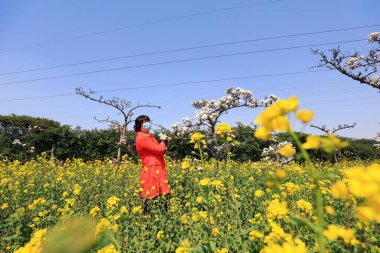LUANNAN COUNTY, Hebei Eyaleti, Çin - 12 Nisan 2020: Güzel elbiseli bayan parktaki çiçeklerin tadını çıkarıyor.