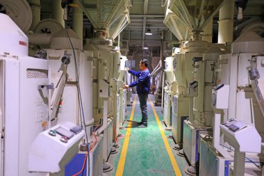 LUANNAN COUNTY, Hebei Eyaleti, Çin - 24 Nisan 2020: İşçiler pirinç işleme ekipmanlarını tahıl işleme tesisinde işletiyorlar.