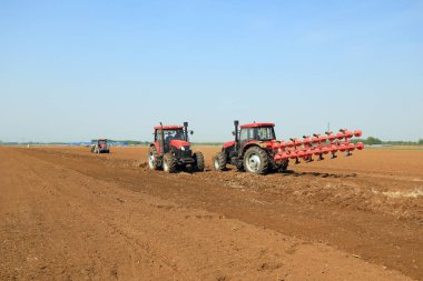 Çiftçiler plastik yer fıstığı yetiştirmek için ekicileri kullanır..