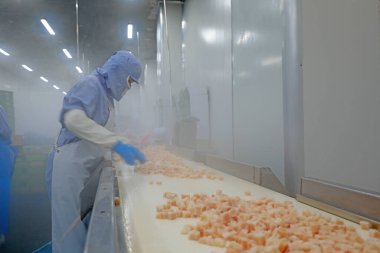 İşçiler Çin 'de tavuk göğsü segmentasyon atölyesinde meşguller.