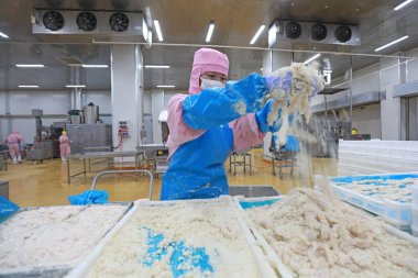 LUANNAN COUNTY, Hebei Eyaleti, Çin - 27 Temmuz 2020: İşçiler bir gıda işleme fabrikasında tavuk segmentasyon atölyesinde meşguller