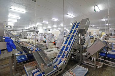 LUANNAN COUNTY, Hebei Eyaleti, Çin - 28 Temmuz 2020: İşçiler bir gıda işleme tesisinde tavuk segmentasyon hattıyla meşguller