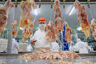 LUANNAN COUNTY, Hebei Eyaleti, Çin - 28 Temmuz 2020: İşçiler bir gıda işleme tesisinde tavuk segmentasyon hattıyla meşguller