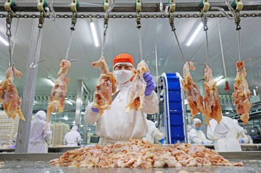 LUANNAN COUNTY, Hebei Eyaleti, Çin - 28 Temmuz 2020: İşçiler bir gıda işleme tesisinde tavuk segmentasyon hattıyla meşguller