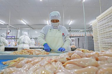 LUANNAN COUNTY, Hebei Eyaleti, Çin - 28 Temmuz 2020: İşçiler bir gıda işleme tesisinde tavuk segmentasyon hattıyla meşguller