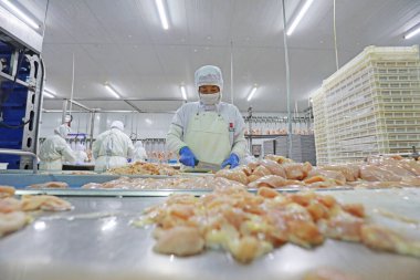 LUANNAN COUNTY, Hebei Eyaleti, Çin - 28 Temmuz 2020: İşçiler bir gıda işleme tesisinde tavuk segmentasyon hattıyla meşguller