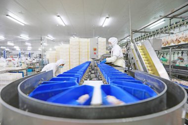 LUANNAN COUNTY, Hebei Eyaleti, Çin - 28 Temmuz 2020: İşçiler bir gıda işleme tesisinde tavuk segmentasyon hattıyla meşguller