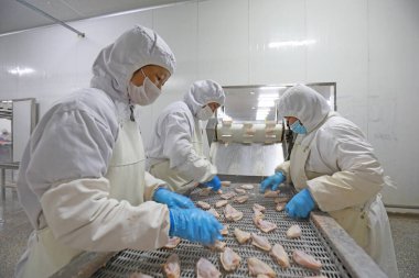 LUANNAN COUNTY, Hebei Eyaleti, Çin - 28 Temmuz 2020: İşçiler bir gıda işleme tesisinde tavuk segmentasyon hattıyla meşguller