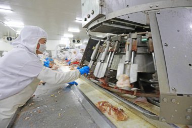 LUANNAN COUNTY, Hebei Eyaleti, Çin - 28 Temmuz 2020: İşçiler bir gıda işleme tesisinde tavuk segmentasyon hattıyla meşguller