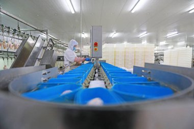 LUANNAN COUNTY, Hebei Eyaleti, Çin - 28 Temmuz 2020: İşçiler bir gıda işleme tesisinde tavuk segmentasyon hattıyla meşguller