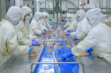 LUANNAN COUNTY, Hebei Eyaleti, Çin - 28 Temmuz 2020: İşçiler bir gıda işleme tesisinde tavuk segmentasyon hattıyla meşguller