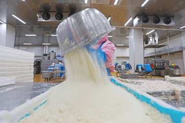 LUANNAN COUNTY, Hebei Eyaleti, Çin - 28 Temmuz 2020: İşçiler bir gıda işleme fabrikasında tavuk segmentasyon atölyesinde meşguller