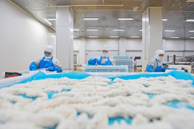 LUANNAN COUNTY, Hebei Eyaleti, Çin - 28 Temmuz 2020: İşçiler bir gıda işleme fabrikasında tavuk segmentasyon atölyesinde meşguller