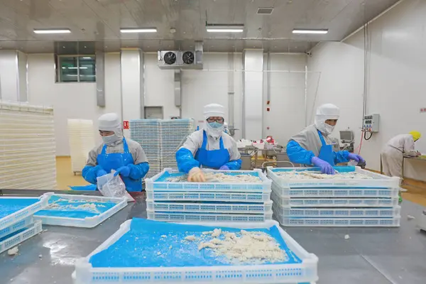 LUANNAN COUNTY, Hebei Eyaleti, Çin - 27 Temmuz 2020: İşçiler bir gıda işleme fabrikasında tavuk segmentasyon atölyesinde meşguller