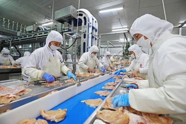 LUANNAN COUNTY, Hebei Eyaleti, Çin - 28 Temmuz 2020: İşçiler bir gıda işleme tesisinde tavuk segmentasyon hattıyla meşguller