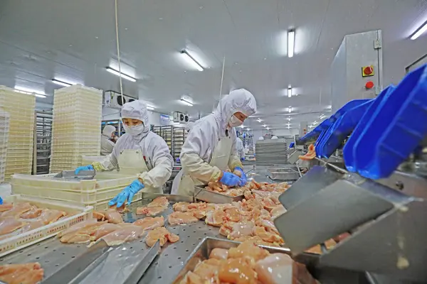 LUANNAN COUNTY, Hebei Eyaleti, Çin - 28 Temmuz 2020: İşçiler bir gıda işleme tesisinde tavuk segmentasyon hattıyla meşguller