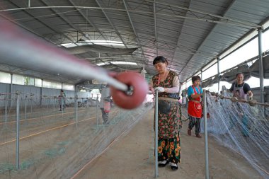 LUANNAN COUNTY, Hebei Eyaleti, Çin - 28 Ağustos 2020: İşçiler bir ağ fabrikasında ağlar örüyorlar