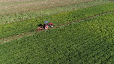 Çiftçiler tarlalarda fıstık toplamak için makineler kullanırlar.