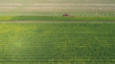 Çiftçiler tarlalarda fıstık toplamak için makineler kullanırlar.