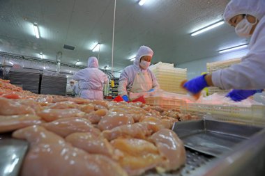 LUANNAN COUNTY, Hebei Eyaleti, Çin - 14 Eylül: İşçiler tavuk segmentasyonunun üretim hattında meşguller