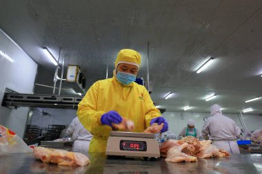 LUANNAN COUNTY, Hebei Eyaleti, Çin - 14 Eylül: İşçiler tavuk segmentasyonunun üretim hattında meşguller