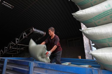 LUANNAN COUNTY, Hebei Eyaleti, Çin - 14 Eylül 2020: İşçiler taşıyıcı bantla beslemeyi fabrikada taşıdılar