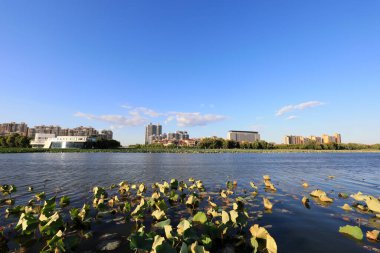 Kuzey Çin, deniz kenti mimari manzarası.