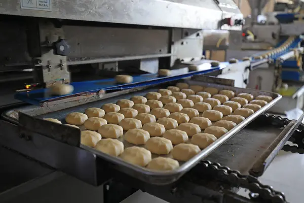 Kuzey Çin 'deki fabrikada Çin hamur işi üretim hattı.