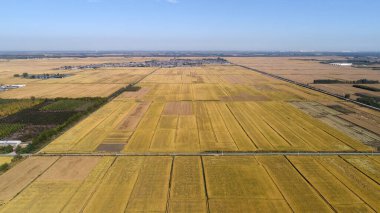 Kuzey Çin Ovası 'ndaki pirinç tarlalarının hava fotoğrafları.