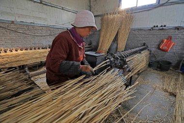 LUANNAN COUNTY, Hebei Eyaleti, Çin - 12 Kasım 2020: işçiler çalışıyor. Sazlık perdesi atölyede.