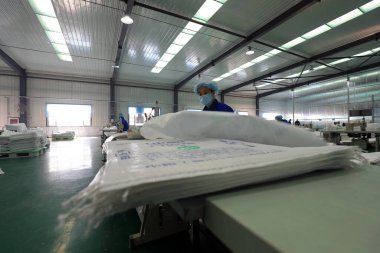 LUANNAN COUNTY, Çin - 8 Aralık 2020: işçiler LUANNAN COUNTY, Hebei Eyaleti, Çin 'deki bir ambalaj ürün hattıyla meşguller.