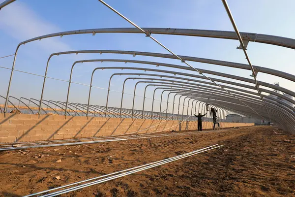 LUANNAN COUNTY, Çin - 2 Aralık 2020: işçiler eliptik galvanize boru iskelet seralar inşa çiftlikler, LUANNAN COUNTY, Hebei Eyaleti, Çin