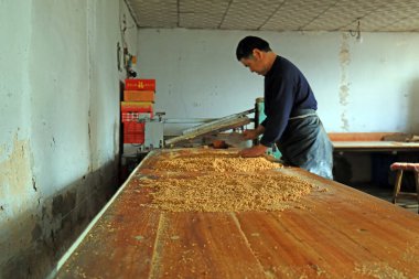 LUANNAN COUNTY, Hebei Eyaleti, Çin - 26 Ocak: fıstık ezmeli şeker işleme evleri aile atölyelerinde fıstık unu ve granüllü şekeri karıştırıyor.