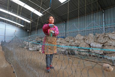 LUANNAN COUNTY, Çin - 10 Mart 2020: Deniz balıkçılığı, LUANNAN COUNTY, Hebei Eyaleti, Çin