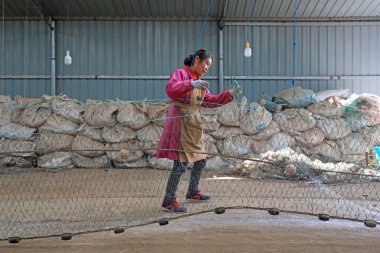LUANNAN COUNTY, Çin - 10 Mart 2020: Deniz balıkçılığı, LUANNAN COUNTY, Hebei Eyaleti, Çin