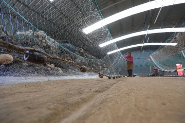 LUANNAN COUNTY, Çin - 10 Mart 2020: Deniz balıkçılığı, LUANNAN COUNTY, Hebei Eyaleti, Çin