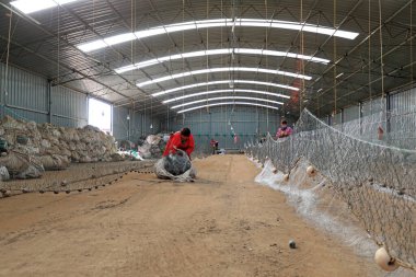 LUANNAN COUNTY, Çin - 10 Mart 2020: Deniz balıkçılığı, LUANNAN COUNTY, Hebei Eyaleti, Çin